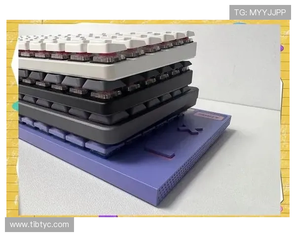 极限运动装备全面指南 从初学者到高手的必备选择与推荐